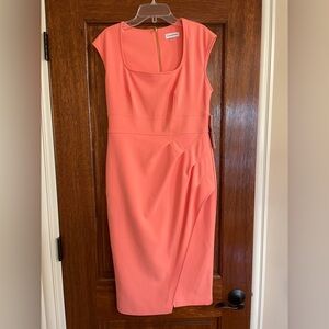 NWT Calvin Klein Dark Melon Dress - Size 6